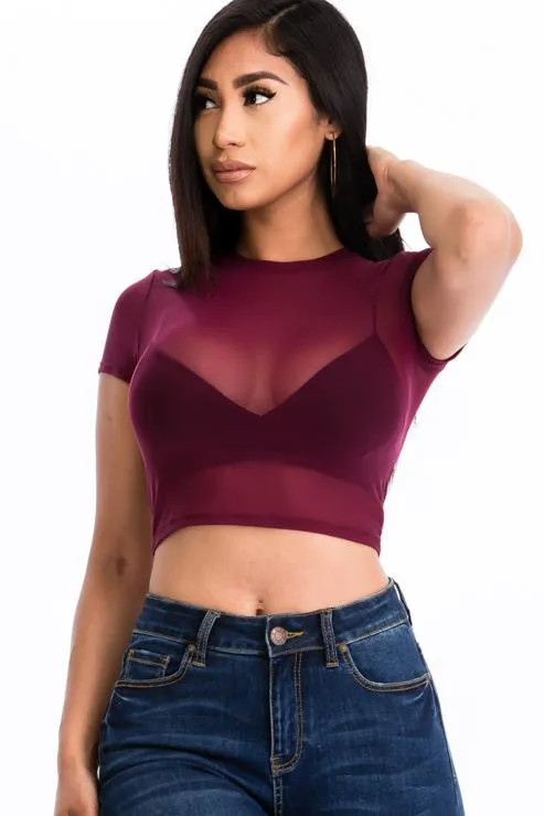 Sexy Mesh Sheer Short Sleeve Crop Top