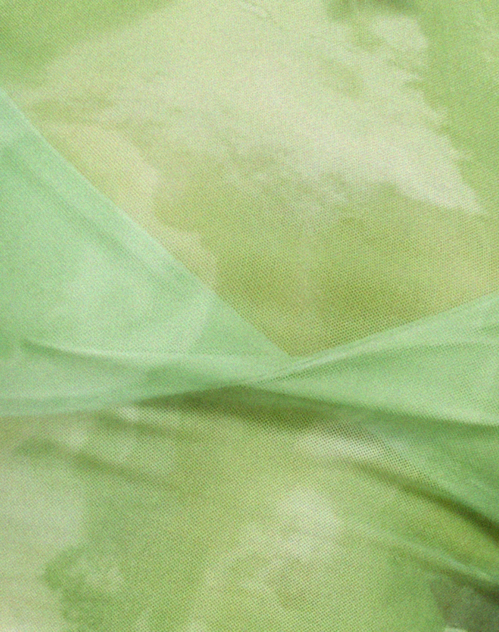 Tiney Crop Top in Watercolour Green